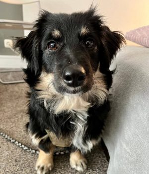 Screenshot_20251026_181859_com.facebook.katana