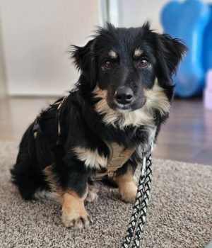 Screenshot_20251026_181900_com.facebook.katana_edit_1218383979831792