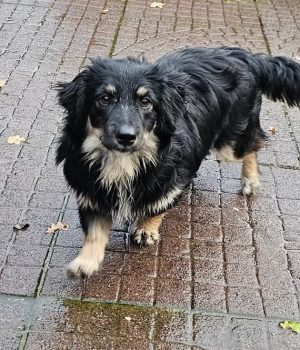 Screenshot_20251026_181902_com.facebook.katana_edit_1218378572218772