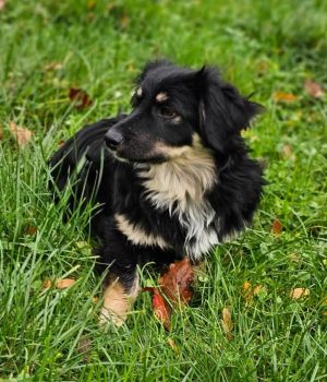 Screenshot_20251026_181903_com.facebook.katana_edit_1218372836703148