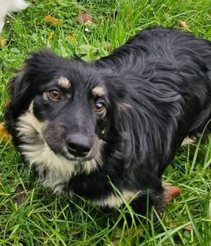 Screenshot_20251026_181904_com.facebook.katana_edit_1218366089721899