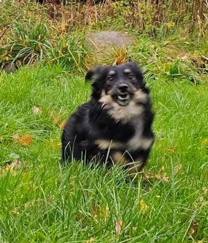 Screenshot_20251026_181906_com.facebook.katana_edit_1218356219093255