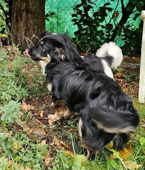 Screenshot_20251026_181907_com.facebook.katana_edit_1218349641434922