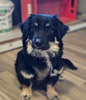 Screenshot_20251026_181909_com.facebook.katana_edit_1218343445990132