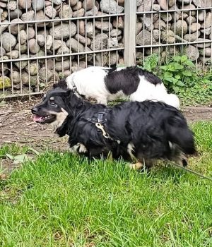 Screenshot_20251026_181910_com.facebook.katana_edit_1218336135969300