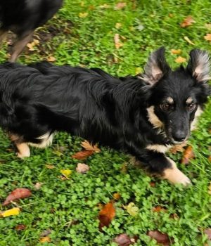 Screenshot_20251026_181911_com.facebook.katana_edit_1218330558627113