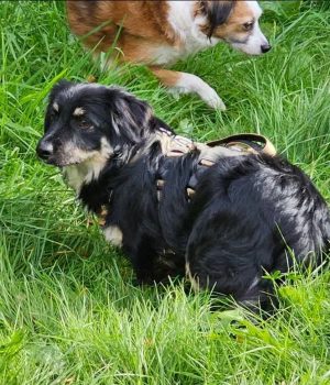 Screenshot_20251026_181912_com.facebook.katana_edit_1218324425272426