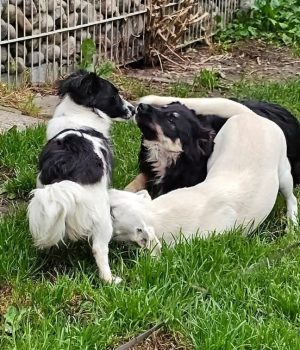 Screenshot_20251026_181915_com.facebook.katana_edit_1218317824152115