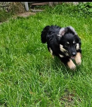 Screenshot_20251026_181920_com.facebook.katana_edit_1218310840434408