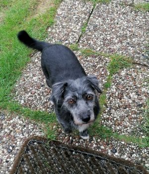 Screenshot_20251027_062931_com.facebook.katana_edit_1228603470204191