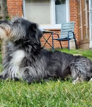 Screenshot_20251027_062932_com.facebook.katana_edit_1228597188621900