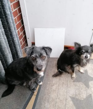 Screenshot_20251027_062933_com.facebook.katana_edit_1228591132499506