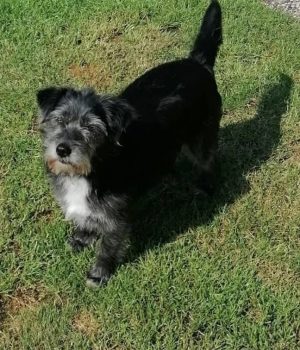 Screenshot_20251027_062934_com.facebook.katana_edit_1228585139043777