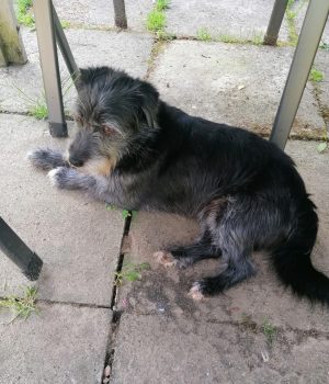 Screenshot_20251027_062935_com.facebook.katana_edit_1228571415223467