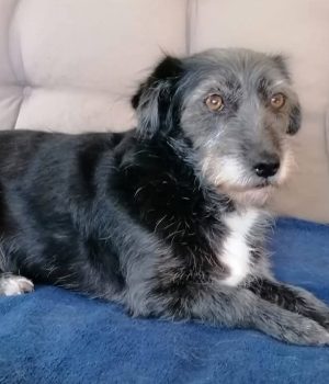 Screenshot_20251027_062936_com.facebook.katana_edit_1228565444178155