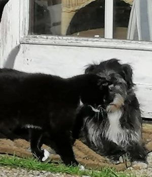 Screenshot_20251027_062937_com.facebook.katana_edit_1228557510904719