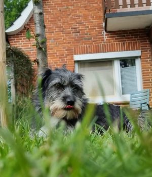 Screenshot_20251027_062939_com.facebook.katana_edit_1228550857950033