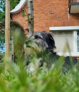 Screenshot_20251027_062940_com.facebook.katana_edit_1228545056721908