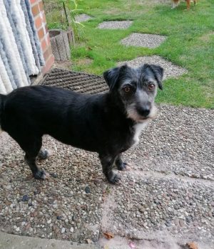 Screenshot_20251027_062941_com.facebook.katana_edit_1228538184698993