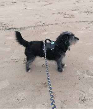 Screenshot_20251027_062942_com.facebook.katana_edit_1228531655608890