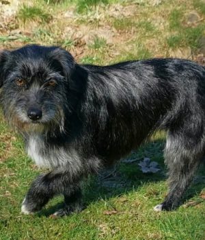 Screenshot_20251027_062944_com.facebook.katana_edit_1228524396896391