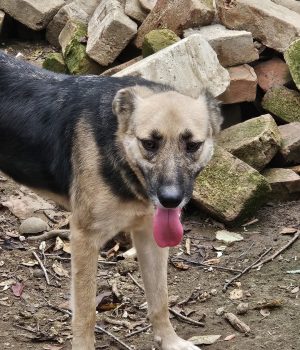 Screenshot_20251028_154923_com.facebook.katana_edit_1282807701639149