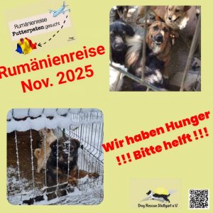 Screenshot_20251106_113314_com.whatsapp_edit_1575461255436681