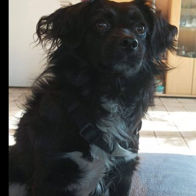 Screenshot_20251107_104041