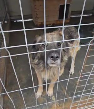 Screenshot_20251107_142248_com.huawei.himovie.overseas_edit_1623642185583496