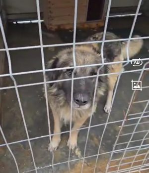 Screenshot_20251107_142253_com.huawei.himovie.overseas_edit_1623635874021518