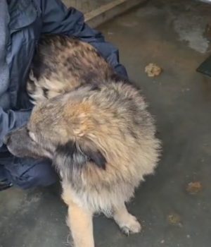 Screenshot_20251107_142301_com.huawei.himovie.overseas_edit_1623625370343915