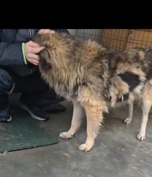 Screenshot_20251107_142336_com.huawei.himovie.overseas_edit_1623611551915792