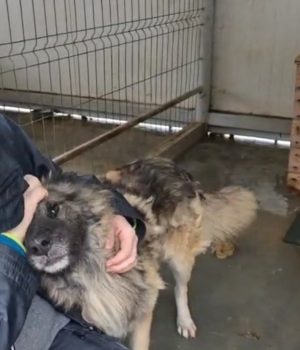 Screenshot_20251107_142347_com.huawei.himovie.overseas_edit_1623606377394960