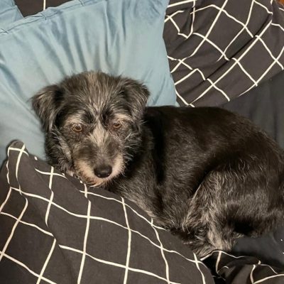 Screenshot_20251116_205416