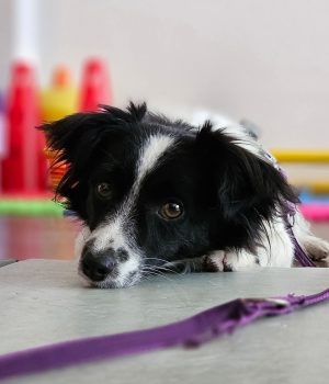 Screenshot_20251204_003715_com.facebook.katana_edit_2422651508512094