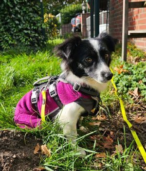 Screenshot_20251204_003716_com.facebook.katana_edit_2422645349172512