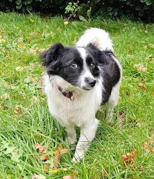 Screenshot_20251204_003718_com.facebook.katana_edit_2422639586254804