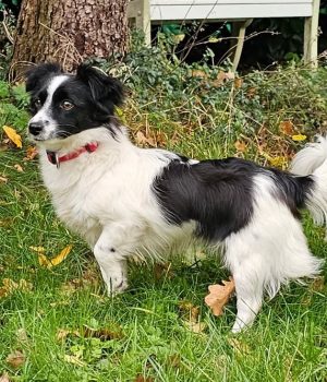 Screenshot_20251204_003720_com.facebook.katana_edit_2422633501535534