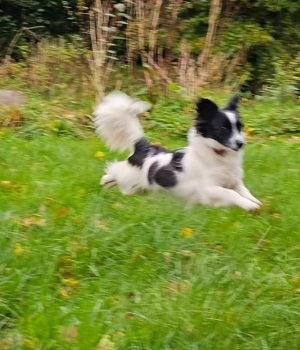 Screenshot_20251204_003721_com.facebook.katana_edit_2422627175006369