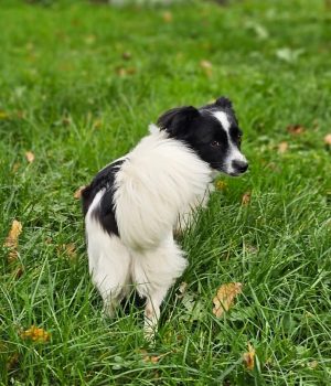 Screenshot_20251204_003727_com.facebook.katana_edit_2422620746836578