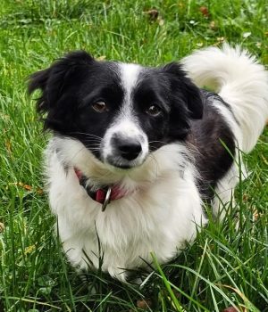 Screenshot_20251204_003734_com.facebook.katana_edit_2422614727131891