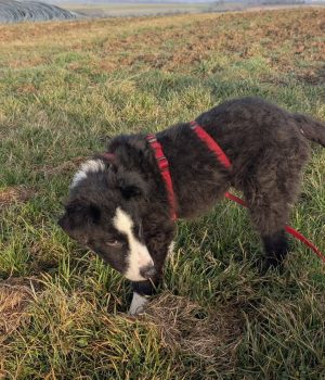 Screenshot_20251221_140013_com.facebook.katana_edit_2931502397625593