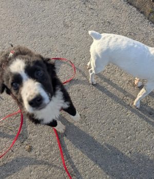 Screenshot_20251221_140014_com.facebook.katana_edit_2931496292039656