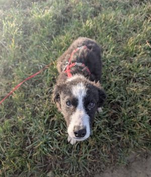 Screenshot_20251221_140016_com.facebook.katana_edit_2931490261159449