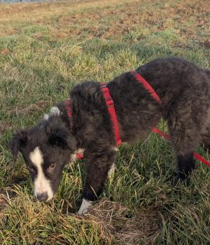 Screenshot_20251221_140017_com.facebook.katana_edit_2931484973457887