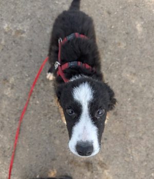 Screenshot_20251221_140018_com.facebook.katana_edit_2931480103284971