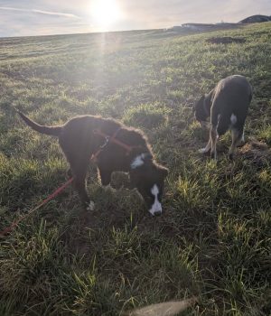 Screenshot_20251221_140019_com.facebook.katana_edit_2931473766014660