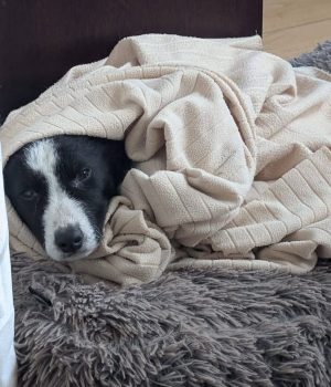 Screenshot_20251221_140021_com.facebook.katana_edit_2931462751041745