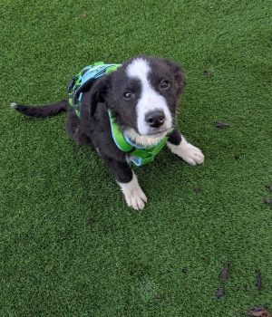 Screenshot_20251221_140025_com.facebook.katana_edit_2931457210608412