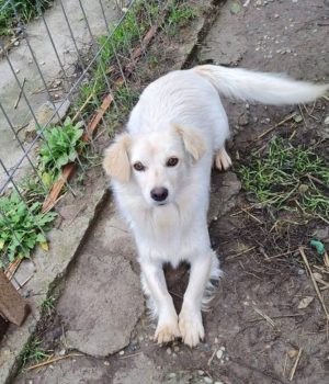 Screenshot_20251221_142604_com.facebook.katana_edit_2932997246490469